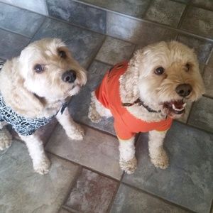 Meet your Posher, Kim